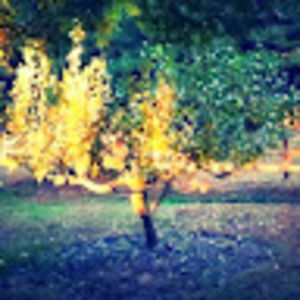 Meet your Posher, Holly